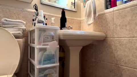 Jhonassmann12 online show from March 2026 10:15:01 PM