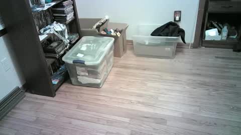 Hardy-Har online show from January 2025 04:26:01 AM