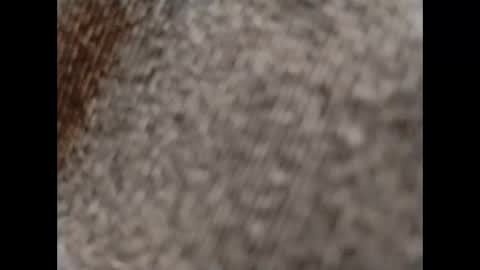 hardandhorny422 online show from October 2025 11:54:02 AM