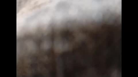 hardandhorny422 online show from November 2025 11:54:01 AM