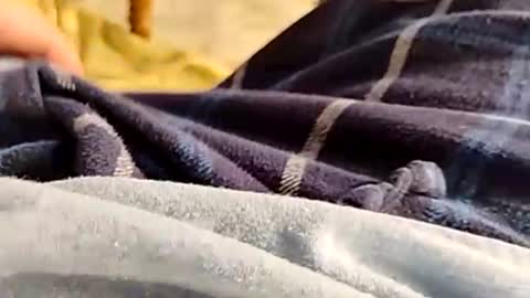 hardandhorny422 online show from November 2025 04:33:01 PM