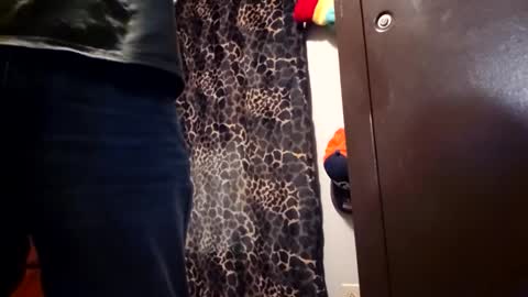 Funsize online show from February 2026 02:59:02 AM