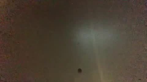 For You online show from January 2025 09:19:02 AM