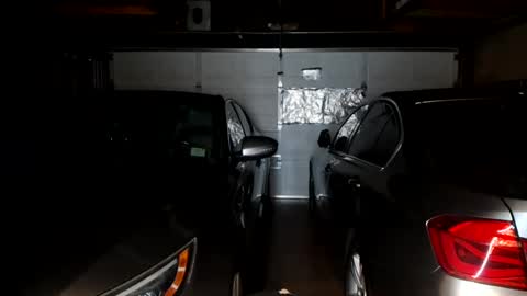 hardfux4fun online show from July 2026 05:53:01 AM
