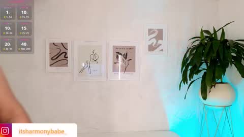 Harmony online show from November 2025 07:12:01 PM