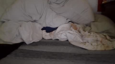 harry1cannary online show from October 2025 08:22:02 AM