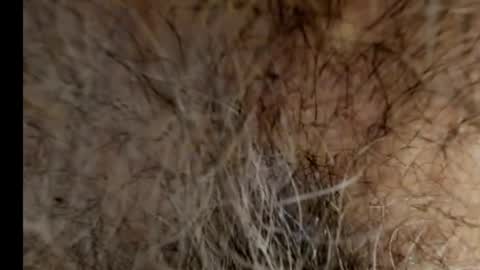 harry_banana online show from February 2025 08:40:02 AM