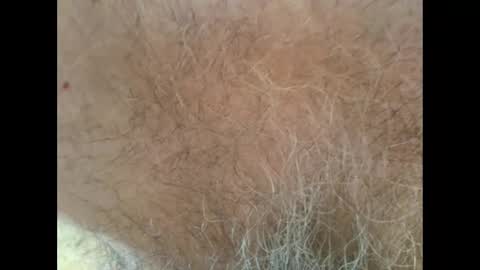 harry_banana online show from October 2025 01:09:02 PM