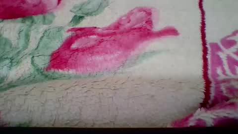 Snapshot of harshly54 chatting on February 2026 07:05:02 AM Harshly 54 online show from February 2026 07:05:02 AM