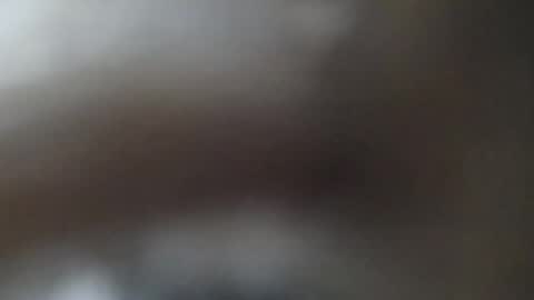 philatio online show from December 2024 08:16:01 AM