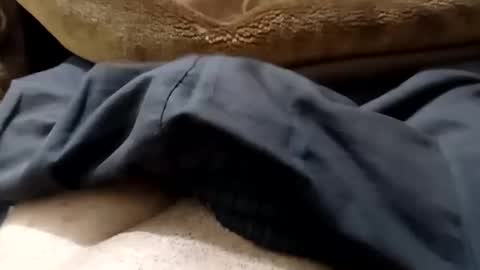 hash86194455 online show from February 2025 04:55:01 PM