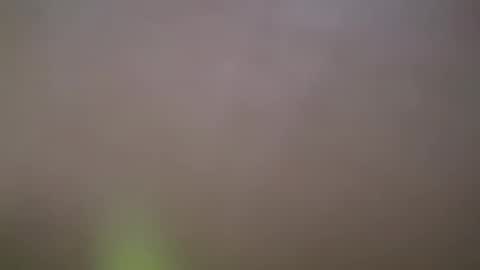 ZhongLi online show from February 2025 02:54:02 PM