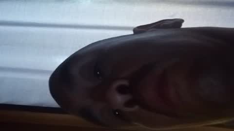 Snapshot of headshop_ chatting on June 2026 01:52:02 AM Cloudznpointzsex online show from June 2026 01:52:02 AM