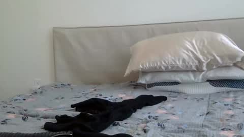 heatwavee online show from February 2025 08:08:02 PM