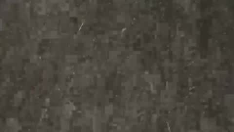 heering77 online show from July 2026 02:34:02 PM