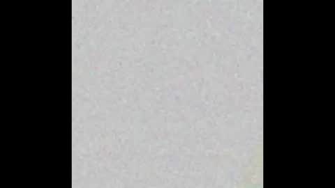   online show from January 2025 08:37:02 PM