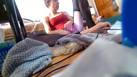 Roxanne online show from March 2025 04:35:02 PM