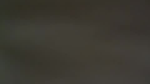 hellohowareyou66 online show from February 2025 06:38:01 PM