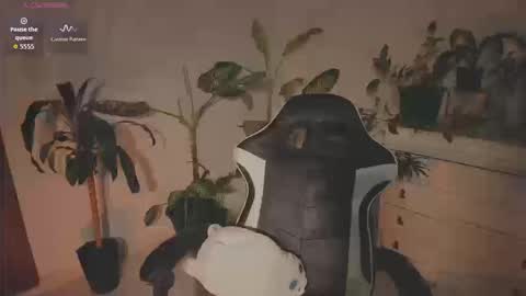 Hello I am Valentina independent Colombian model I love sensuality and pleasure welcome online show from September 2025 03:02:01 PM