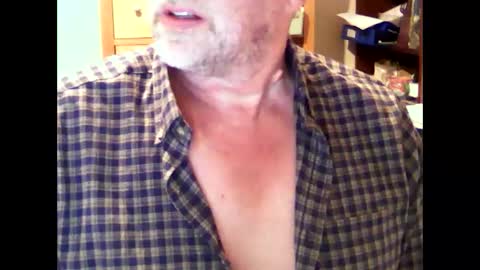 hereford66 online show from September 2025 04:39:01 PM