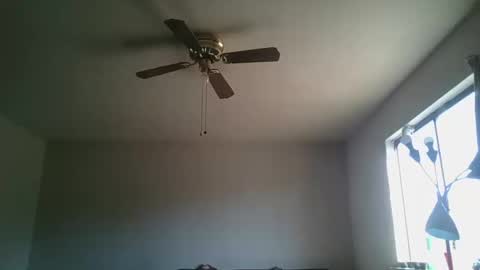 hermannbukowski online show from October 2025 04:40:02 PM