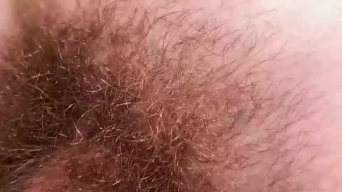 Snapshot of hey_arnold chatting on December 2025 09:21:02 PM Arnold online show from December 2025 09:21:02 PM