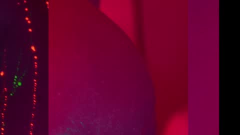 Snapshot of heybanan chatting on December 2024 08:18:01 PM Alina online show from December 2024 08:18:01 PM