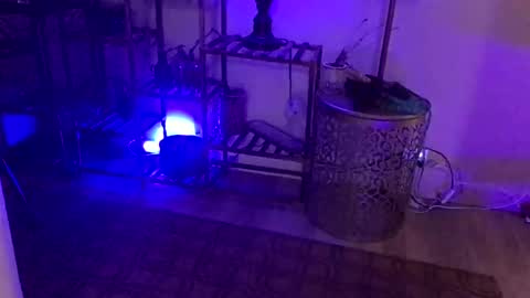 FlexieFae online show from January 2025 07:49:01 AM