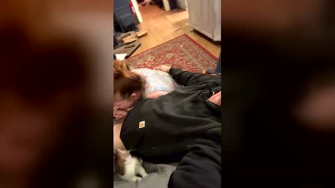 hgjkkggh online show from April 2026 02:42:02 AM