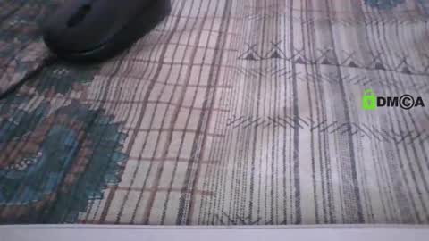 Snapshot of hhiteshs19 chatting on March 2026 07:49:01 AM Hitesh online show from March 2026 07:49:01 AM