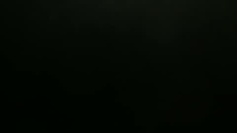 Snapshot of hibus_85 chatting on November 2025 01:33:02 PM hibus_85 online show from November 2025 01:33:02 PM