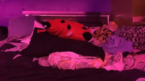 HiGHNESS CANNA online show from February 2026 04:56:02 PM