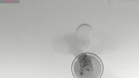 hilary_tailor online show from January 2026 11:04:01 AM