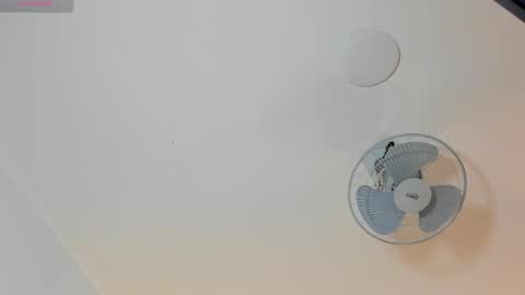 hilary_tailor online show from January 2026 11:03:02 AM