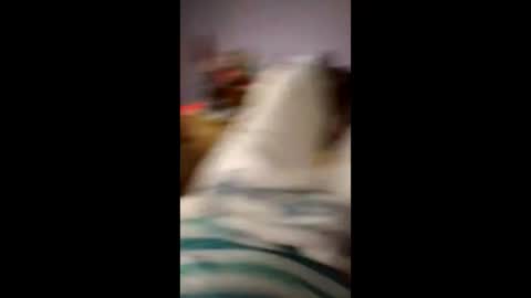 hitchhikerontheroad online show from April 2026 02:50:01 AM