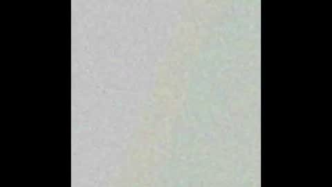 Snapshot of hngtop4furedadstx chatting on March 2025 01:26:02 PM Hung top 4 furry dads online show from March 2025 01:26:02 PM