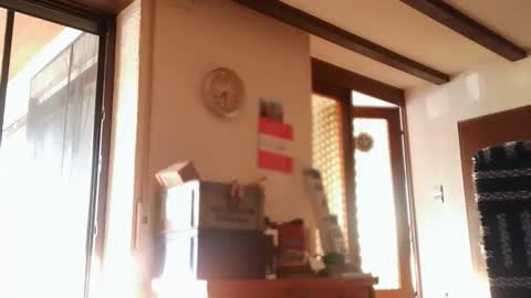 Snapshot of hofnung chatting on May 2026 05:28:01 PM hofnung online show from May 2026 05:28:01 PM