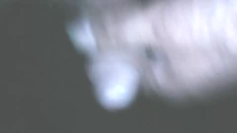 Snapshot of hofnung chatting on June 2026 11:39:02 PM hofnung online show from June 2026 11:39:02 PM