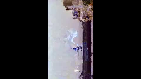 hoglegg99384194 online show from January 2026 11:48:01 AM