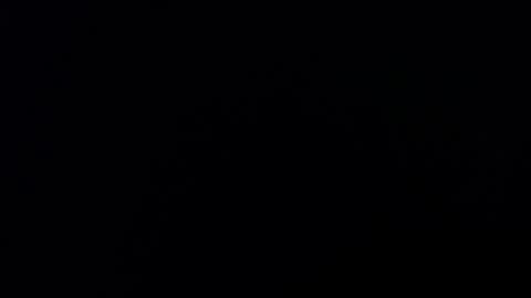 Holly online show from March 2026 04:20:02 AM