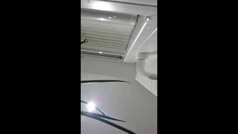 holzinger online show from April 2026 10:51:01 PM