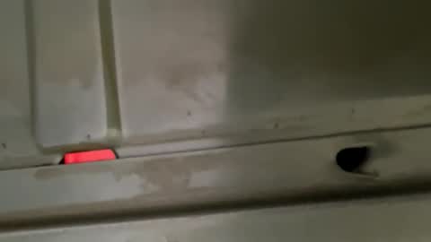 hondodeasy online show from February 2026 02:16:02 PM