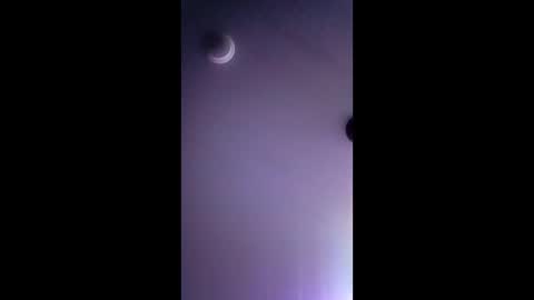 honeybear2026 online show from December 2025 03:25:02 AM