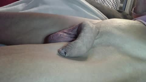 Honeysuckle online show from June 2026 04:43:02 AM