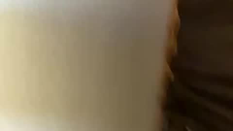 hoodrobbin447 online show from December 2025 12:17:02 AM