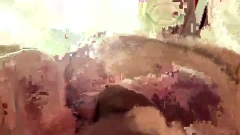 Snapshot of hornieecum chatting on March 2026 11:17:02 AM hornieecum online show from March 2026 11:17:02 AM