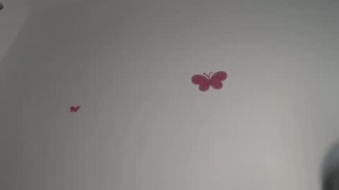 Iris online show from December 2025 08:28:02 PM