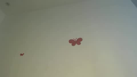 Iris online show from April 2026 07:34:02 PM