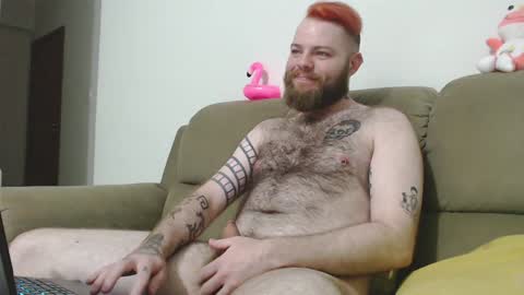 Snapshot of hornyhairy_bi chatting on December 2024 03:37:02 AM Harry online show from December 2024 03:37:02 AM