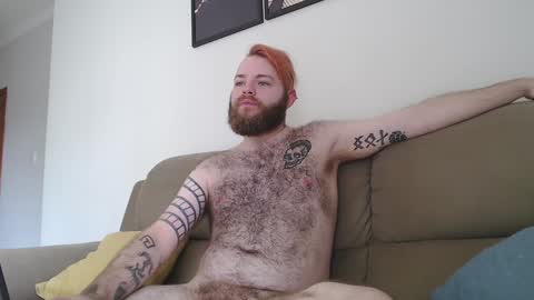 Snapshot of hornyhairy_bi chatting on January 2025 04:55:01 PM Harry online show from January 2025 04:55:01 PM